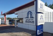 سلك الإجازة في التربية بكلية علوم التربية بالرباط FSE