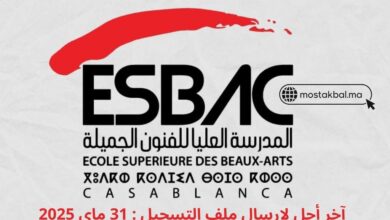 ESBA Casablanca المدرسة العليا للفنون الجميلة بالدار البيضاء